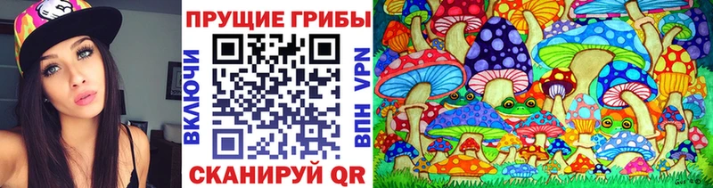 Купить  Старый Оскол  Галлюциногенные грибы Cubensis 