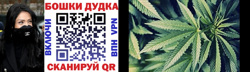 Купить  Старый Оскол  Бошки Шишки конопля 